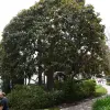 2013-05-08 12.34.17