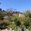 2012-07-24 15.25.28