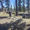 2026-07-06 13.59.20