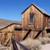 341 - BODIE