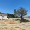 509 - JOAQUÍN MORAGA ADOBE