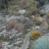 2012-12-28 16.25.17