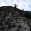 2012-12-28 16.25.44
