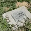 2022-05-07 10.47.44