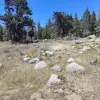 2026-07-06 14.29.44