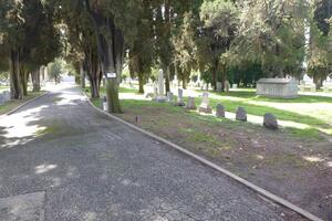 765-Temple-Israel-Cemetery