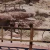2014-08-06 11.08.07