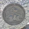 2026-07-08 10.16.16