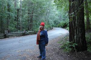 827-Big-Basin-Redwoods-State-Park