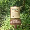 970 - RAINBOW TROUT SPECIES IDENTIFIED