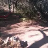 2014-11-08 13.23.54
