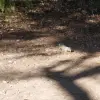 2014-11-08 13.29.21