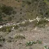2014-05-03 08.25.22
