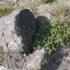 2014-05-03 08.25.32