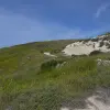 2014-05-03 08.28.14
