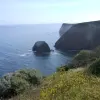 2014-05-03 08.39.58