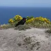 2014-05-03 09.06.22