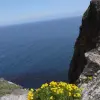 2014-05-03 10.36.01