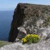 2014-05-03 10.36.17