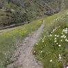2014-05-03 11.02.49