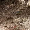 2014-05-03 15.26.39