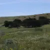 2014-05-04 10.58.54