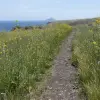2014-05-04 11.30.08