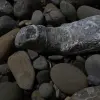 2014-03-23 12.25.41