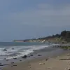 Haskells-Beach-2014