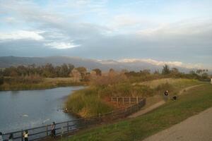 Lake-Los-Carneros-2012