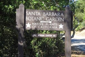 Santa Barbara Botanic Garden 2006