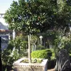 IMG_0437