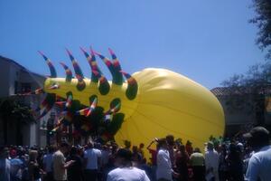 Solstice Parade 2010