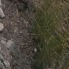 2014-07-08 18.55.43