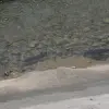 2014-07-10 09.18.09