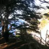 2015-01-01 11.55.35