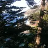 2015-01-01 11.56.53