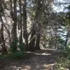 2015-01-01 11.58.18