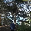 2015-01-01 11.58.34