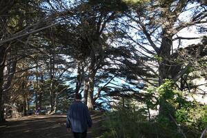 Monterey-and-Big-Sur-2014