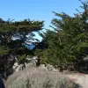 2015-01-01 12.04.03