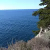 2015-01-01 12.04.09
