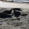 2015-01-01 14.36.47