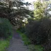 2015-01-01 11.54.40