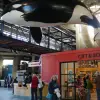 2014-12-29 10.02.58