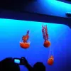 Monterey Bay Aquarium