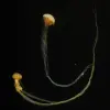 2014-12-29 13.31.24