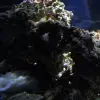 2014-12-29 13.46.29