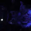 2014-12-29 13.49.24