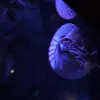 2014-12-29 13.49.40